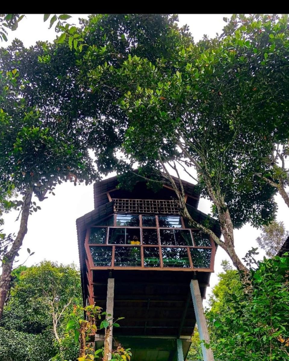 Tree House Wayanad Resort in Kerala
