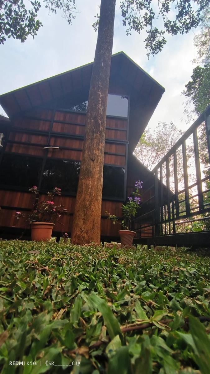 Tree House Wayanad Resort in Kerala