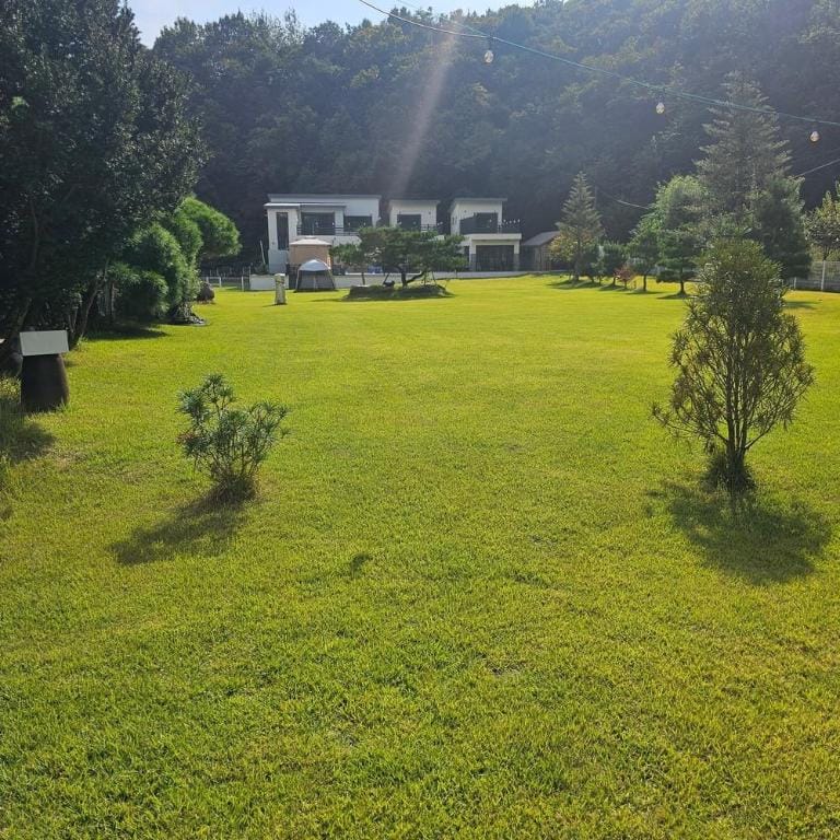 Wonju Gwirae 630 Dog Pool Villa Bed and Breakfast in Gyeonggi-do