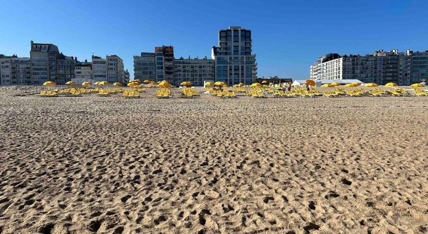 High end Villa in the hart of Knokke Zoute close to the beach and shoping area Vacation rental in Knokke-Heist