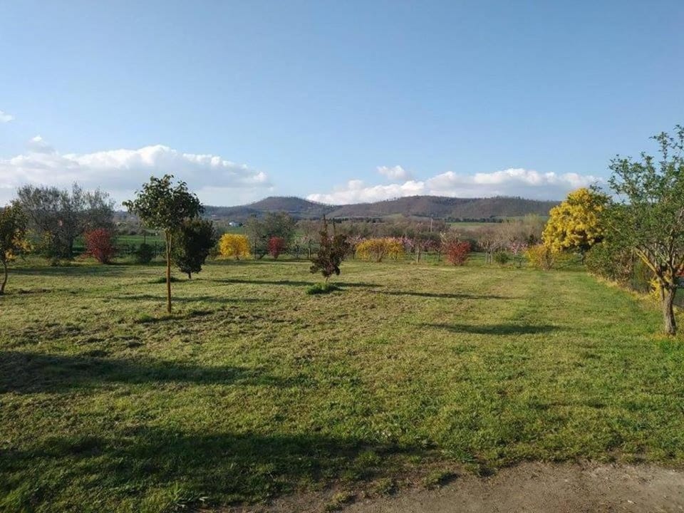 Agriturismo La Fraschetta Farm Stay in Bolsena