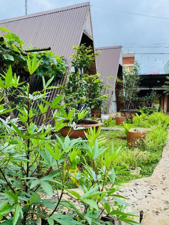 Homestay Nhà của Nếp Vacation rental in Vietnam