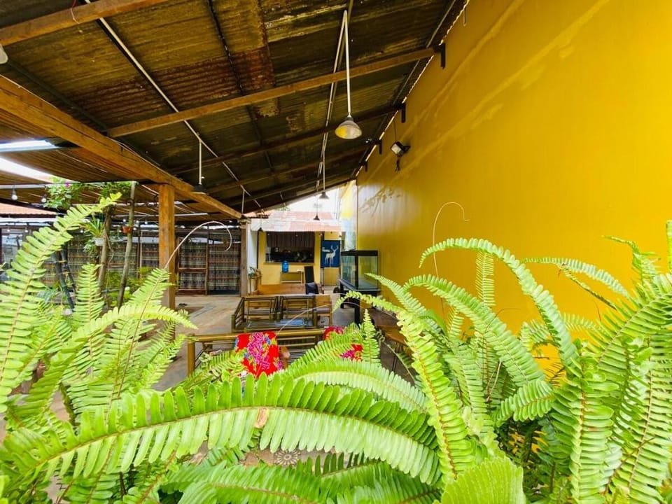 Homestay Nhà của Nếp Vacation rental in Vietnam