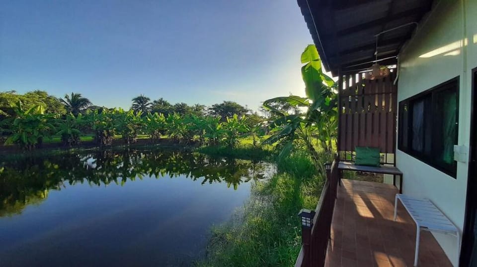 Naam and Nork Vegetarian Farmstay  Vacation rental in Thailand