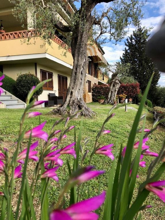 Appartamento tra gli olivi Vacation rental in Emilia-Romagna