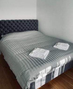 Gray apartment Apartment in Serbia