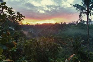 Luxury 4 BR Private Pool Villa AN18A Villa in Ubud