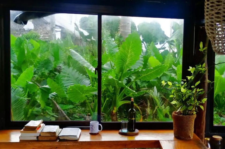 Tarzan's House Vacation rental in General Luna