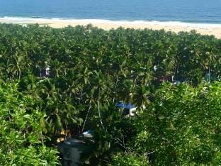 WHISPERING KERA Villa in Kerala