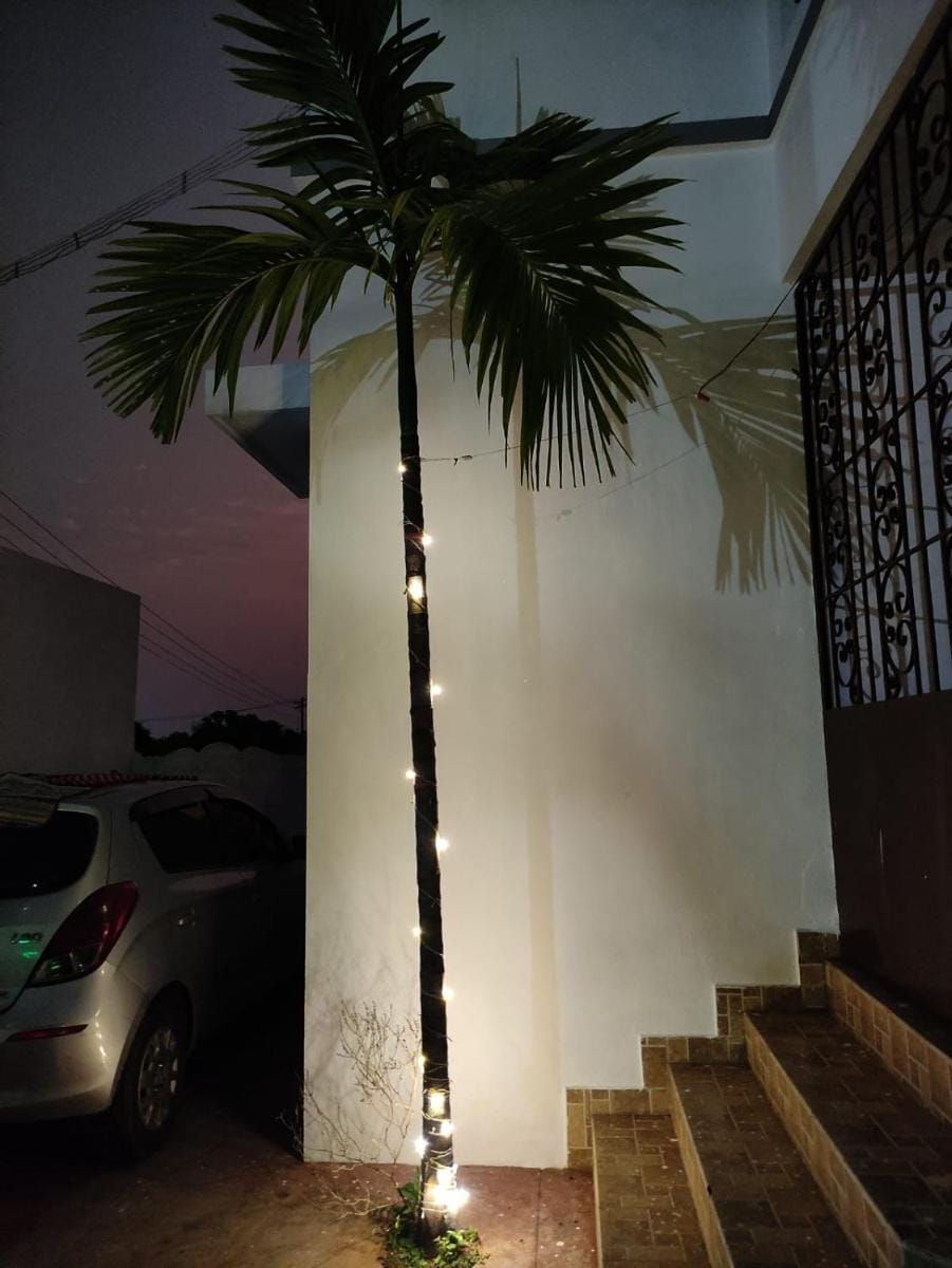 Paradise White Villa Villa in Puducherry