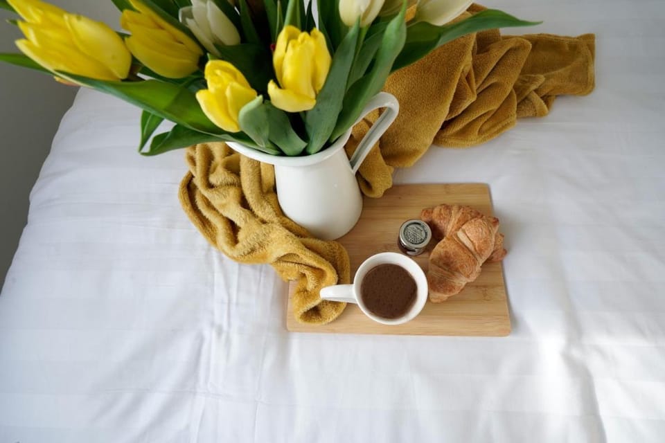 Lucerne  Vacation rental in Cambridge