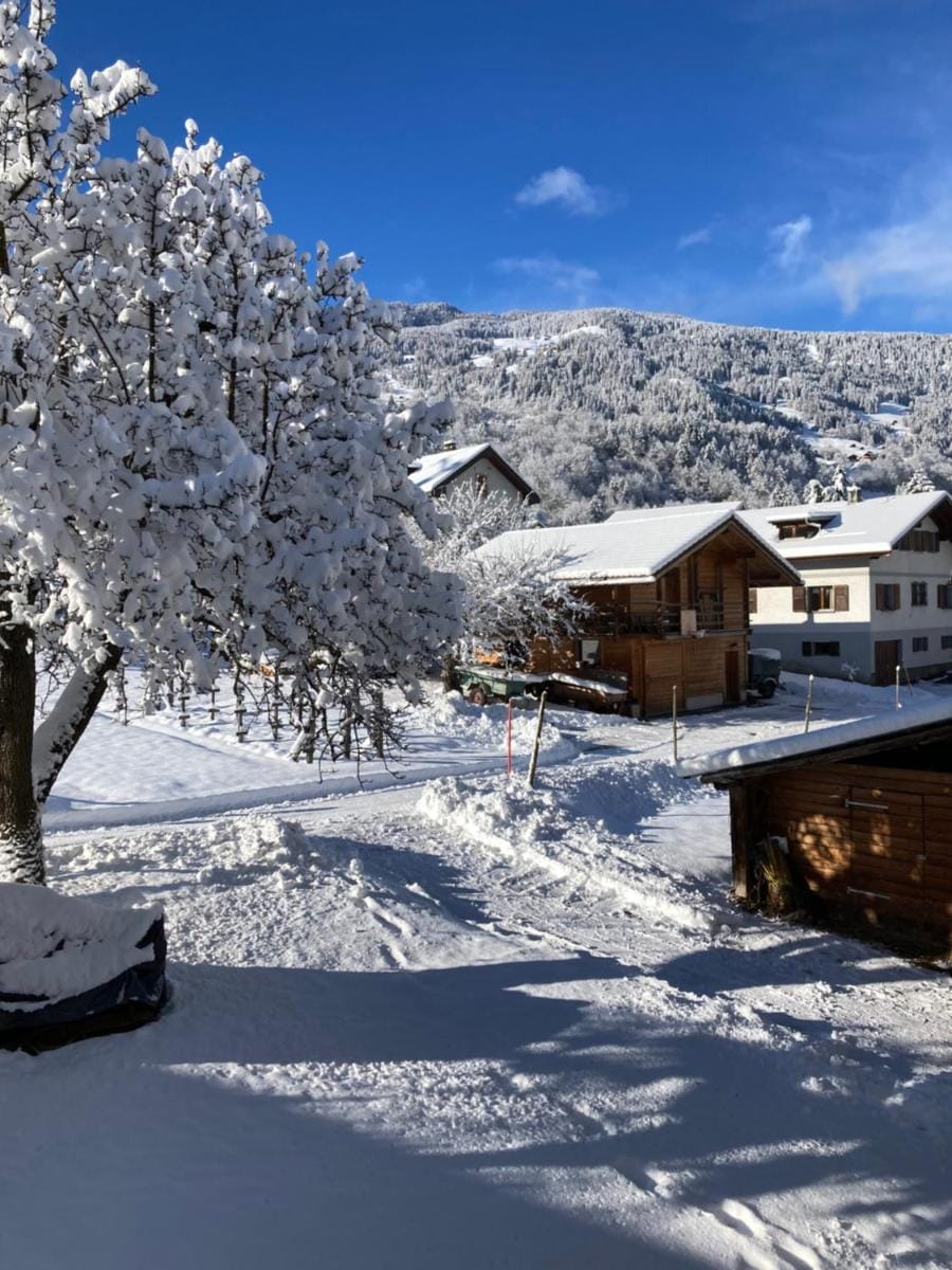 La Petite Auberge Bed and Breakfast in Bagnes