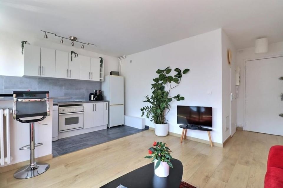 Great Place for Olympics Apartment in Paris