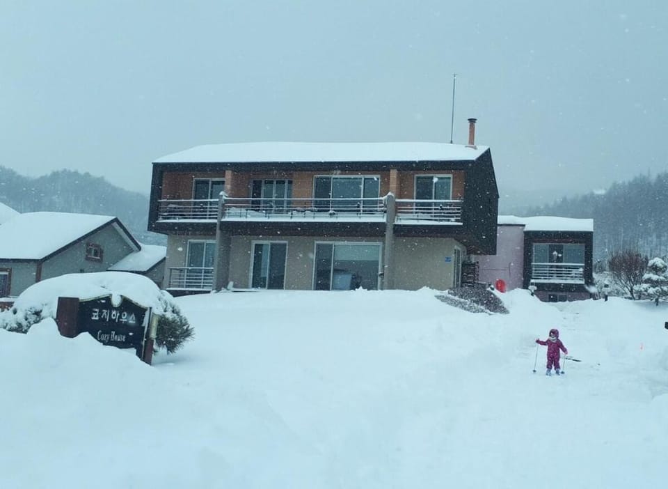 Cozy House; family trip / lawn yard and garden Vacation rental in South Korea