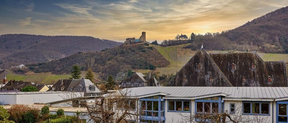 Weinquartier11 Apartment in Graach an der Mosel