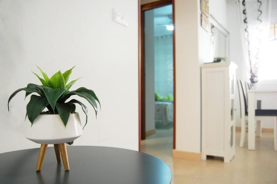 Shelter Near The Sea Av. La Mancha Aguas Nuevas Vacation rental in Torrevieja