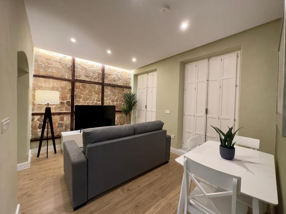 Apartamentos Anaya 1, en pleno centro de Granada Apartment in Granada