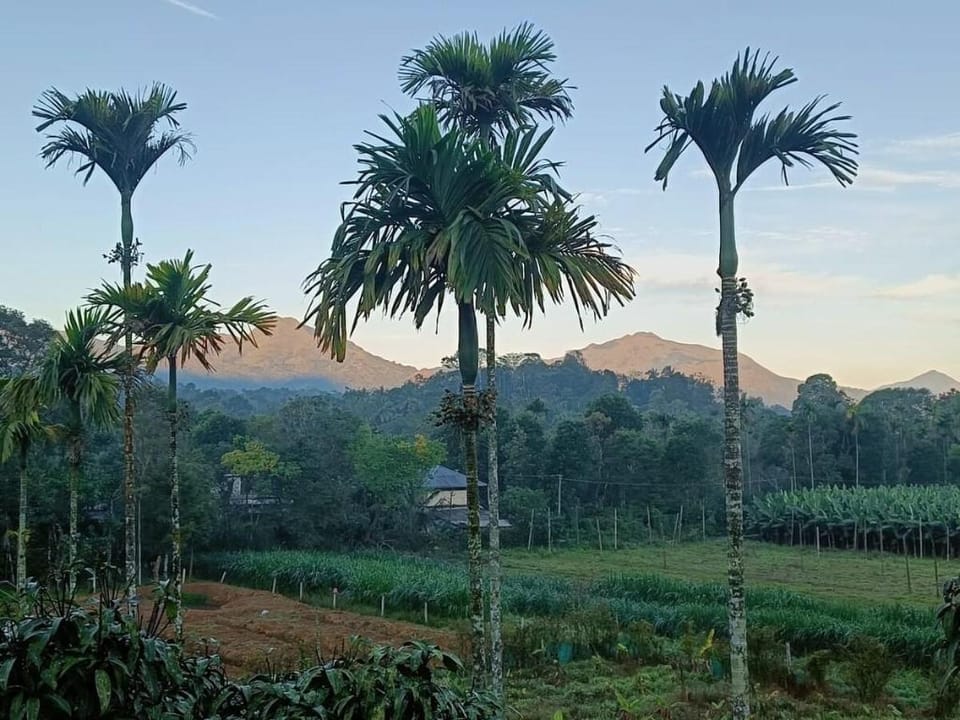 Nostalgia Homestay Villa in Kerala