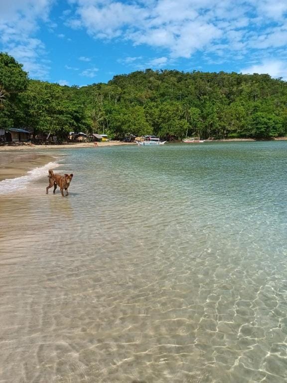 Tupi's Beachfront 2BR House Closest To The City Vacation rental in Puerto Princesa