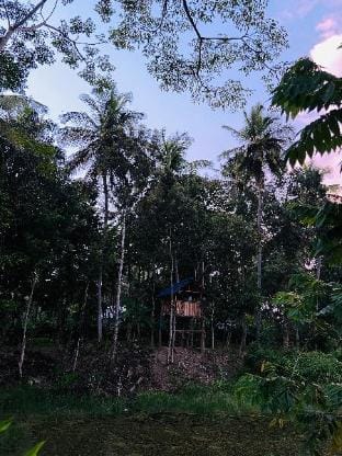 The Wildcamp - Oia Farm House Vacation rental in Kerala