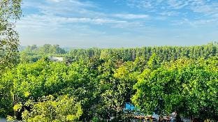 Ho Coc Houses Vacation rental in Bình Thuận Province