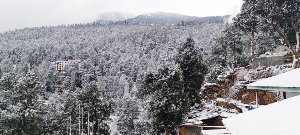 Kinvatika Homestay Apartment in Himachal Pradesh