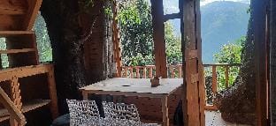 Tandi Tree cabin (your own  tree house) Vacation rental in Himachal Pradesh