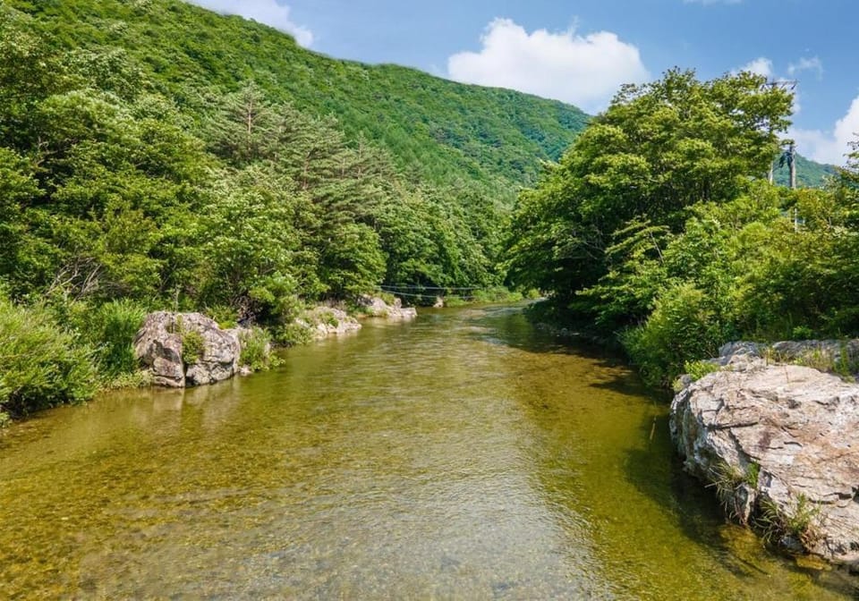 Nolbu and Heungbu Pension Bed and Breakfast in South Korea