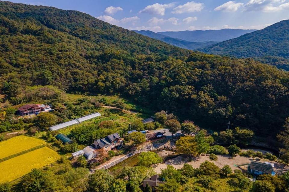 Sun up Stay Bed and Breakfast in South Korea