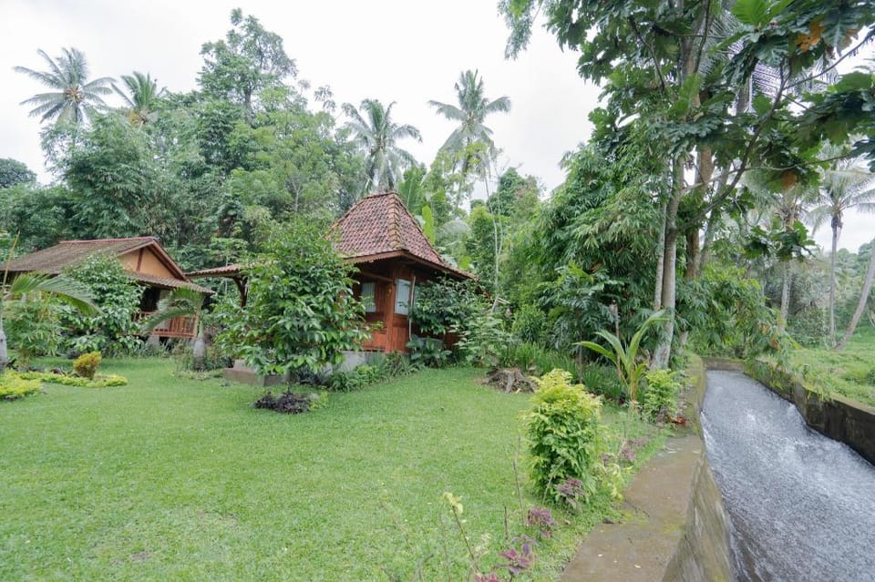 Nishiyama House Sambangan by The Lavana Lodge in Bali