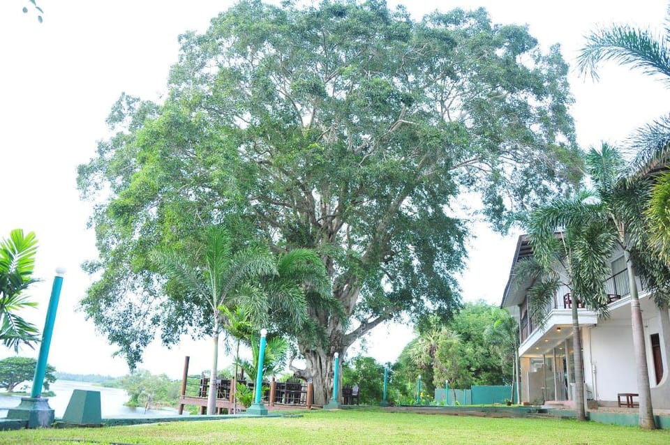 Lakewind Tissa Hotel in Southern Province