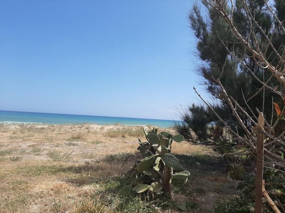 Stella del Golfo Home quasi sulla spiaggia Apartment in Alcamo