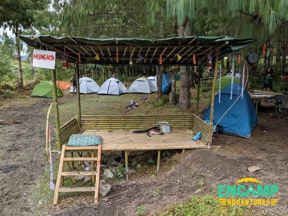 Encamp Ziro Festival of Music Camp Vacation rental in India