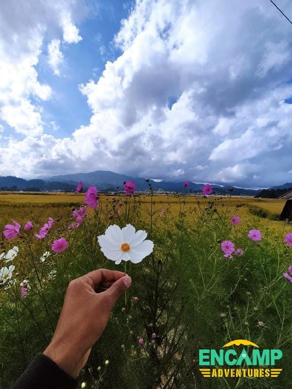 Encamp Ziro Festival of Music Camp Vacation rental in India