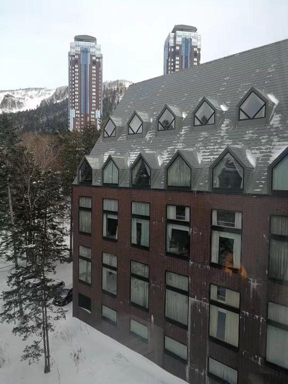 The Village Alpha Hoshino公寓式酒店位于星野度假村独立公寓 Apartment in Hokkaido Prefecture