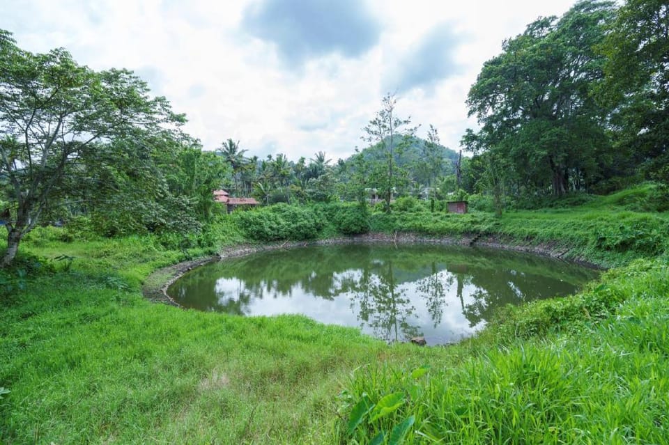 Mystic Trees Vacation rental in Kerala