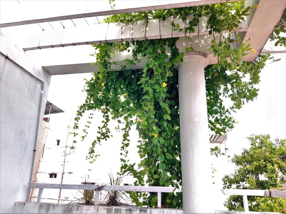 Madonna Villa  Vacation rental in Puducherry