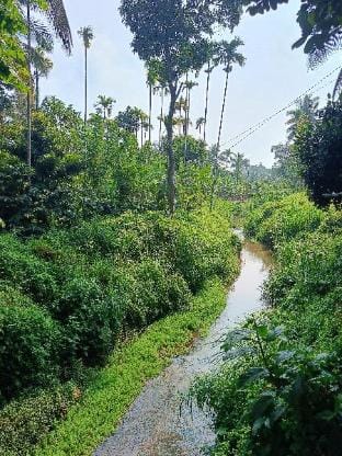 Simple Private Homestay Wayanad  Vacation rental in Kerala