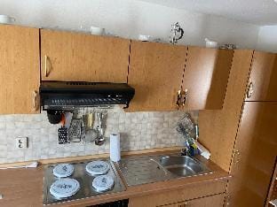 Ferienwohnung mit Neckarblick Apartment in Hesse