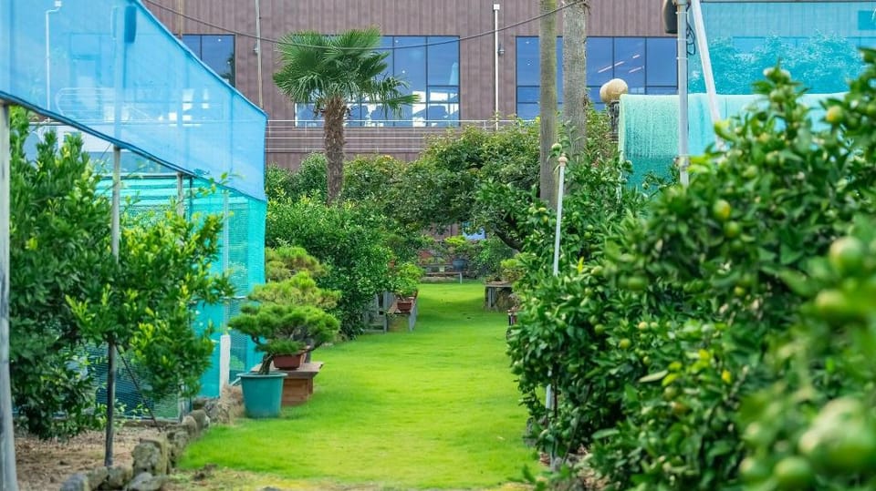 Jeju Jeonwonsaenghwal Diorem Pension Bed and Breakfast in South Korea