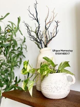 Ulique Homestay KT - Near KTCC & Pantai Batu Buruk Apartment in Terengganu, Malaysia
