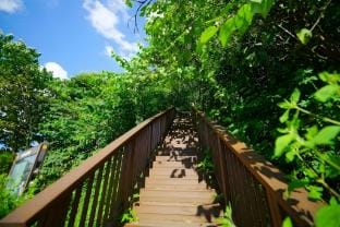 Geuligobom Dokchae Pension Bed and Breakfast in South Korea