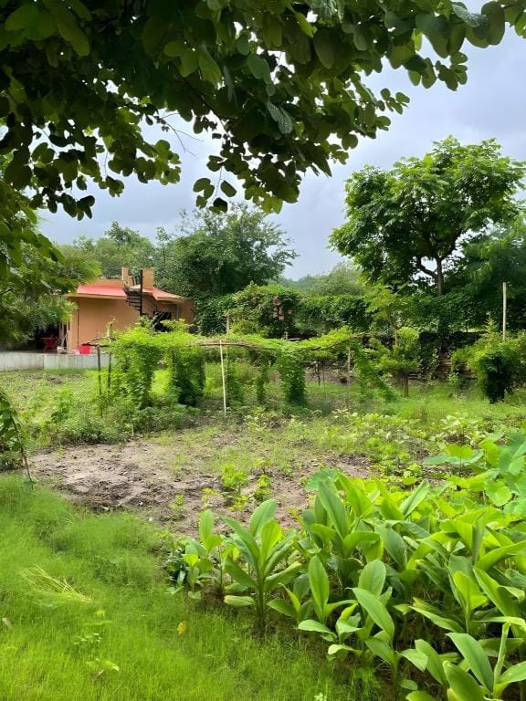Molshree Farms Homestay Vacation rental in Rajasthan