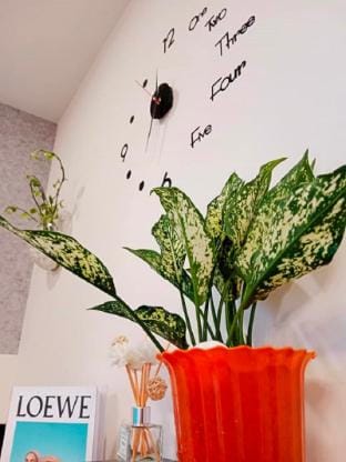Homestay Solforest - Ecopark Van Giang Apartment in Laos
