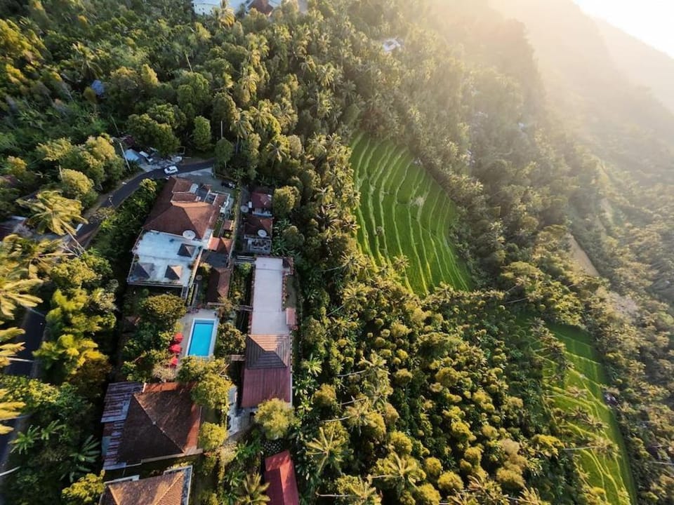 Villa Ipsa Hotel in Bali