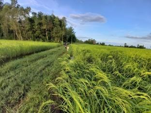 Phupha Farmstay Vacation rental in Laos