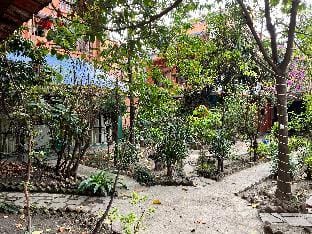 Sun Rise Cottage  Vacation rental in Kathmandu