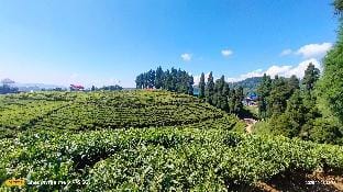 Holidays homestay  Vacation rental in West Bengal