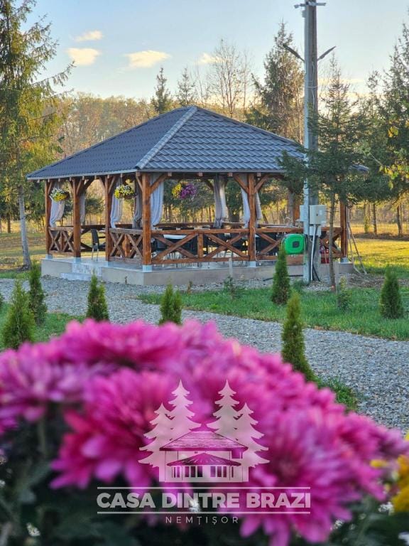 Casa Dintre Brazi Villa in Romania