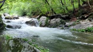 V528 Pool Villa Bed and Breakfast in Gyeonggi-do